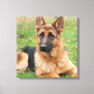 Impressão Em Tela Create Your Own Pet Photo Custom Picture