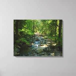 Impressão Em Tela Creek de Água Raiva no Parque Nacional de Monte R
