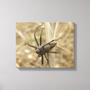 Impressão Em Tela Creepy Crawly Spider Print