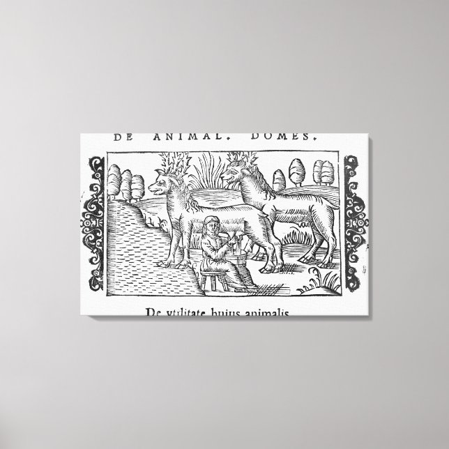 Impressão Em Tela Criação de renas (Frente)