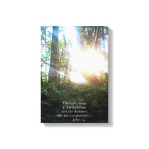 Criações de Escrituras Cristãs de Bíblias Versa