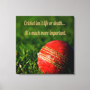 Impressão Em Tela Cricket Red Ball Motivação Engraçada