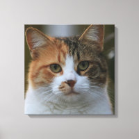 Crie Sua Própria Foto Personalizada de Gato de Est