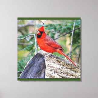 Impressão Em Tela Crimson Cardinal Woods