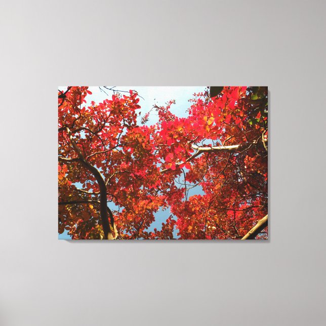 Impressão Em Tela Crimson Myrtle #2 (Frente)