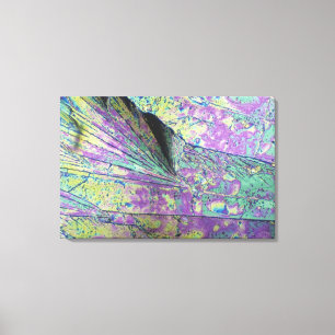 Impressão Em Tela Cristais de açúcar vistos à luz polarizada