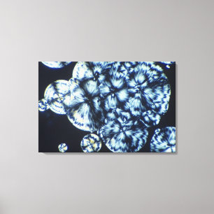 Impressão Em Tela Cristais de colesterol vistos à luz polarizada