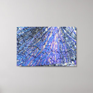 Impressão Em Tela Cristais de colesterol vistos na luz polarizada 2