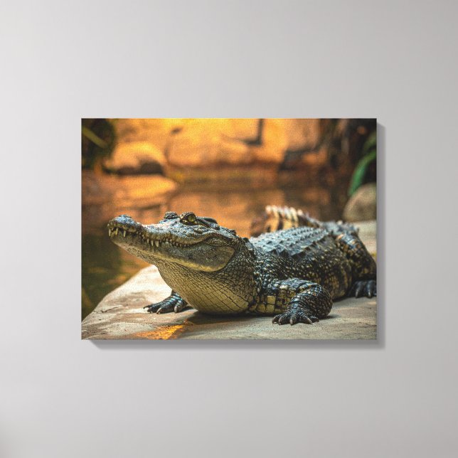 Impressão Em Tela Crocodilo (Frente)