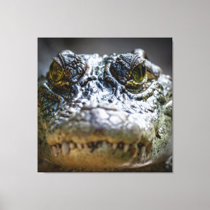Impressão Em Tela crocodilo na água