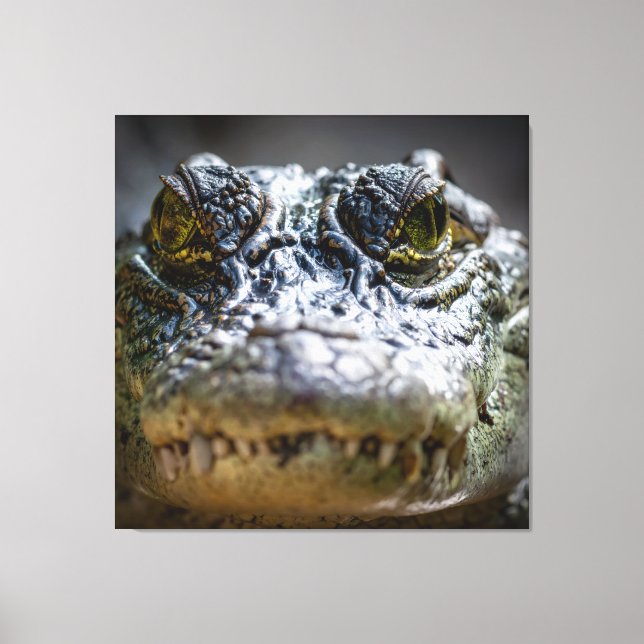 Impressão Em Tela crocodilo na água (Frente)