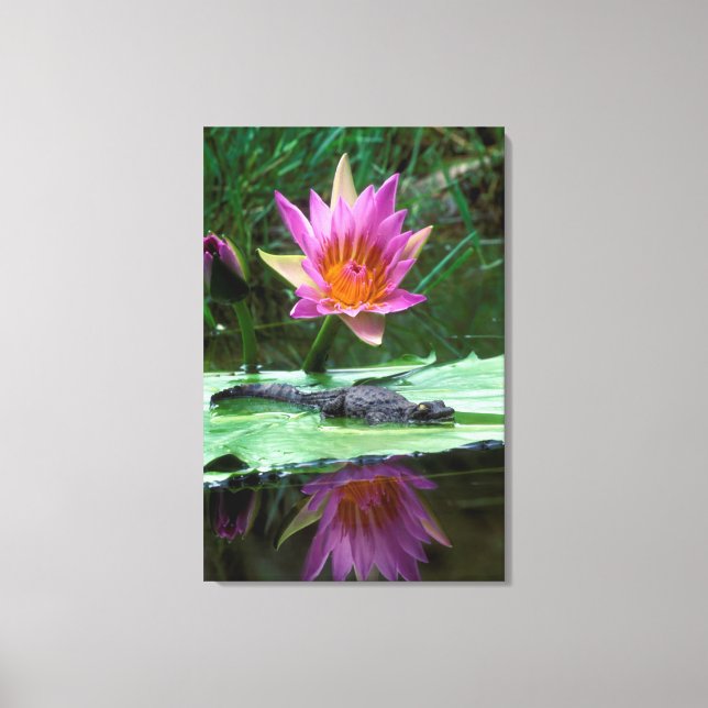 Impressão Em Tela Crocodilo Nilo (Crocodylus Niloticus) (Frente)