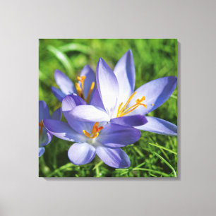 Impressão Em Tela Crocus