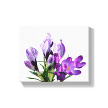Crocus floral moderno floral roxo bonito
