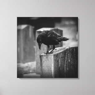 Impressão Em Tela Crow do Cemitério de Queda