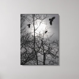 Impressão Em Tela Crows Sunlight Tree Branches Silhouette Landscape