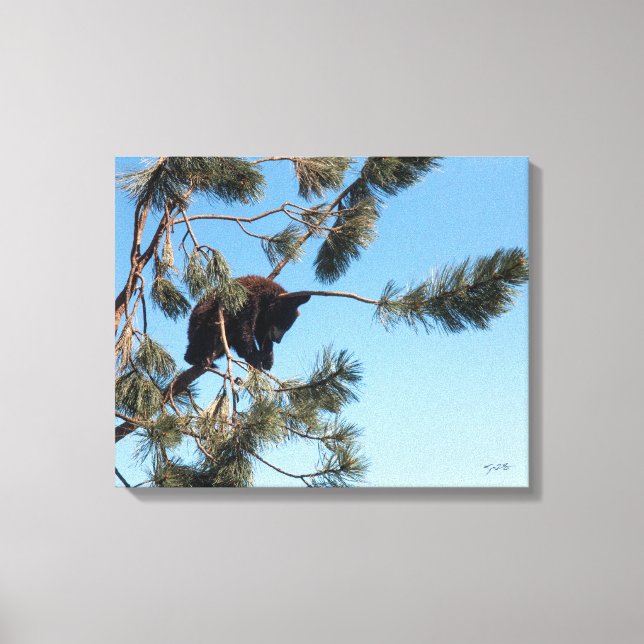 Impressão Em Tela Cubo do Urso Dormindo (Frente)