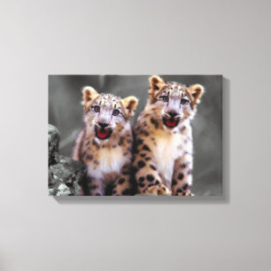 Impressão Em Tela Cubos-leopardo-da-neve