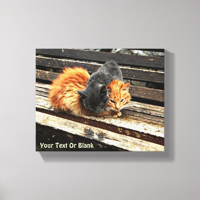 Impressão Em Tela Cuecas Catnap (Frente)