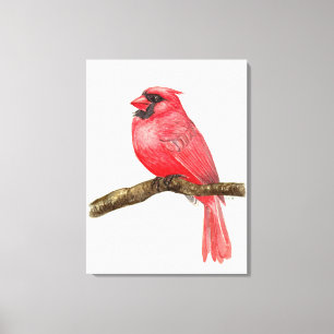 Impressão Em Tela Cura-d-água de aves cardinhas