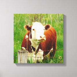 Impressão Em Tela Curiosa Vaca 4Carrie