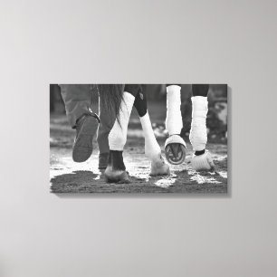 Impressão Em Tela Curso-Etapa histórica da raça de Saratoga