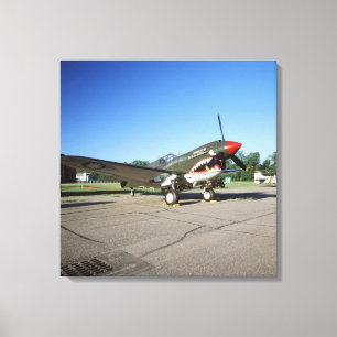 Impressão Em Tela Curtiss P-40 Warhawk, em festival aéreo de
