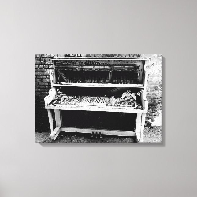 Impressão Em Tela Curva de Músicos dos Próximos Anos (Frente)