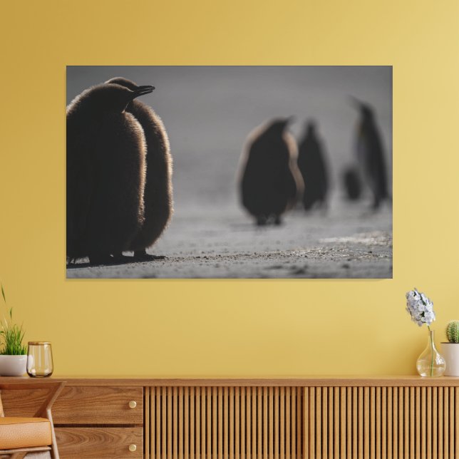 Impressão Em Tela Cute Baby Penguin Chicks | unique Photo Art (Insitu(Sala de estar))