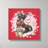 Cute Schnauzer sobre padrão cardíaco