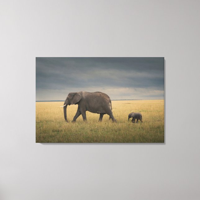 Impressão Em Tela Cutest Baby Animals | African Elephant Family (Frente)