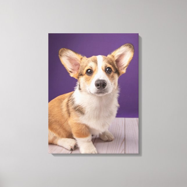 Impressão Em Tela Cutest Baby Animals | Corgi Puppy on Purple (Frente)