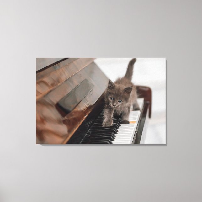 Impressão Em Tela Cutest Baby Animals | Kitten on Piano (Frente)