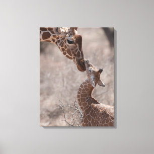 Impressão Em Tela Cutest Baby Animals Mother and Baby Giraffe