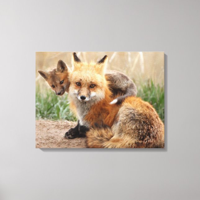 Impressão Em Tela Cutest Baby Animals | Red Fox & Baby (Frente)