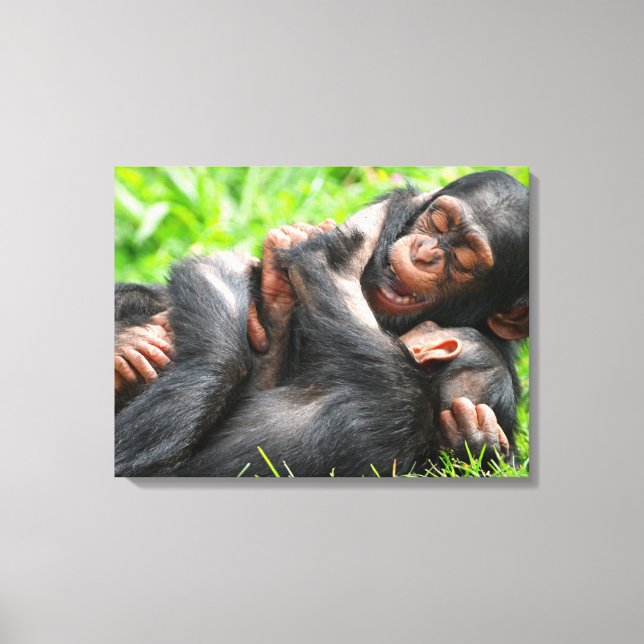 Impressão Em Tela Cutest Baby Animals | Two Young Chimpanzees (Frente)