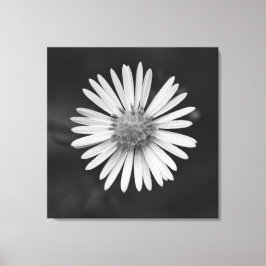 Impressão em tela da flor de Áster de São Miguel