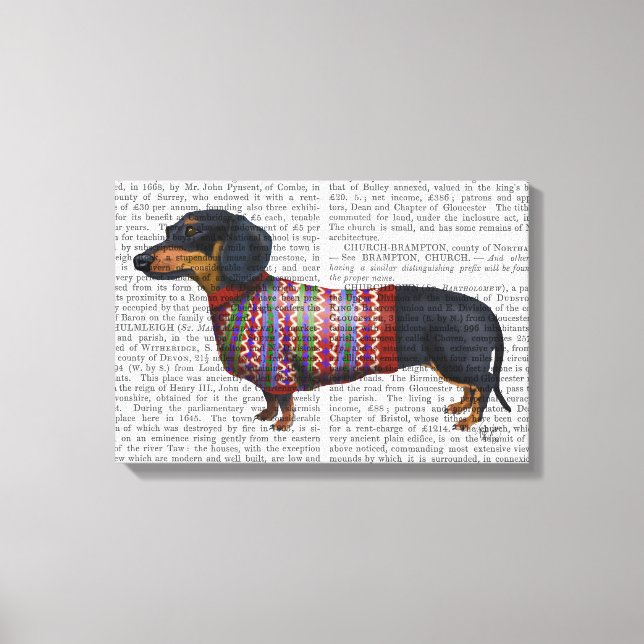 Impressão Em Tela Dachshund Com Sweater Wooly (Frente)