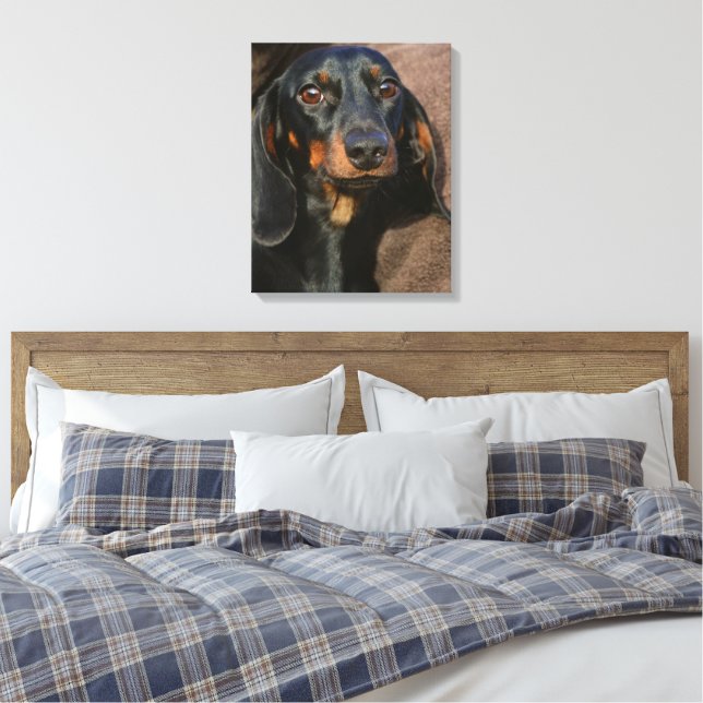 Impressão Em Tela dachshund preto e bronzeado (Insitu(Quarto))