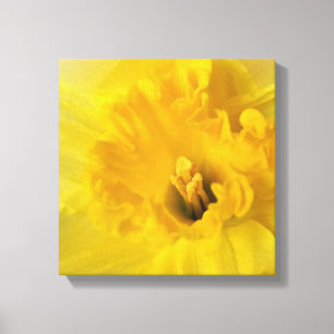 Impressão Em Tela daffodilo amarelo