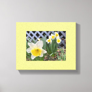 Impressão Em Tela Daffodils Amarelos