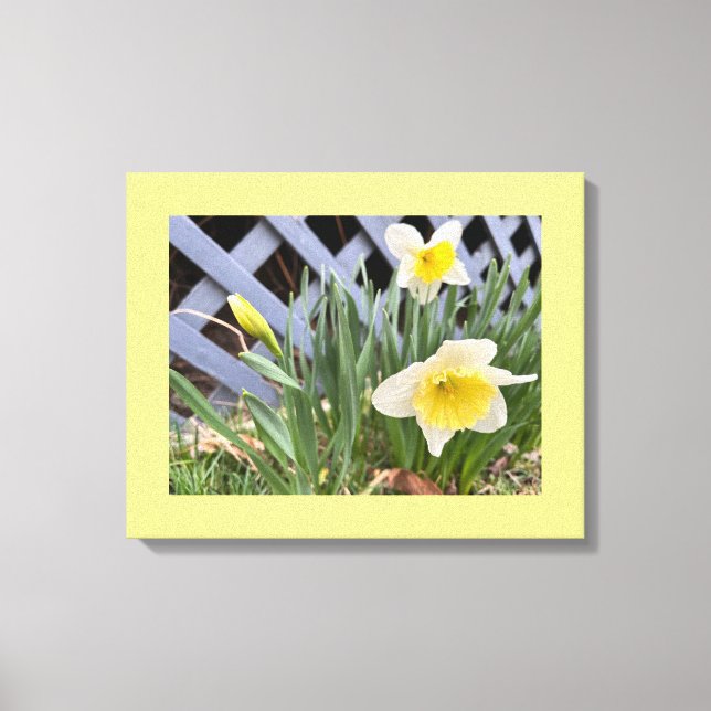 Impressão Em Tela Daffodils Amarelos #2 (Frente)