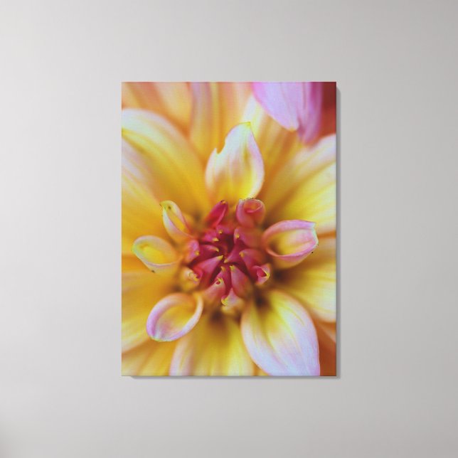 Impressão Em Tela Dahlia Bud (Frente)