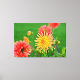 Impressão Em Tela Dahlias