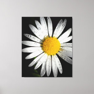 Impressão Em Tela Daisy