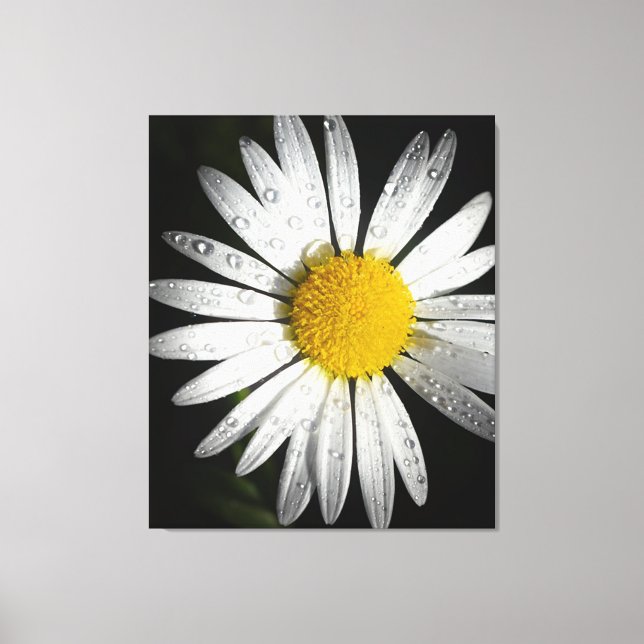 Impressão Em Tela Daisy (Frente)