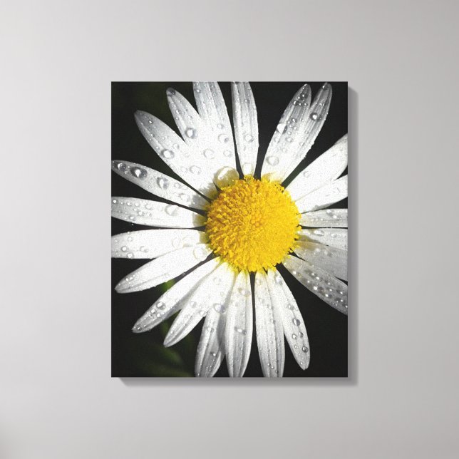Impressão Em Tela Daisy (Frente)