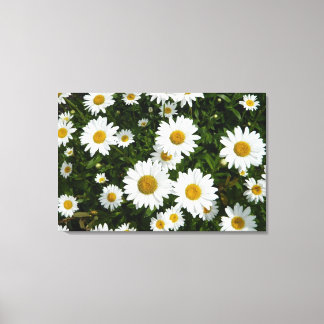 Impressão Em Tela Daisy Delight