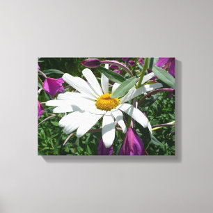 Impressão Em Tela Daisy e Fireweed