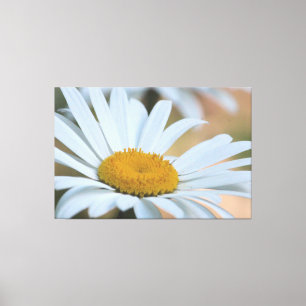 Impressão Em Tela Daisy em grande escala